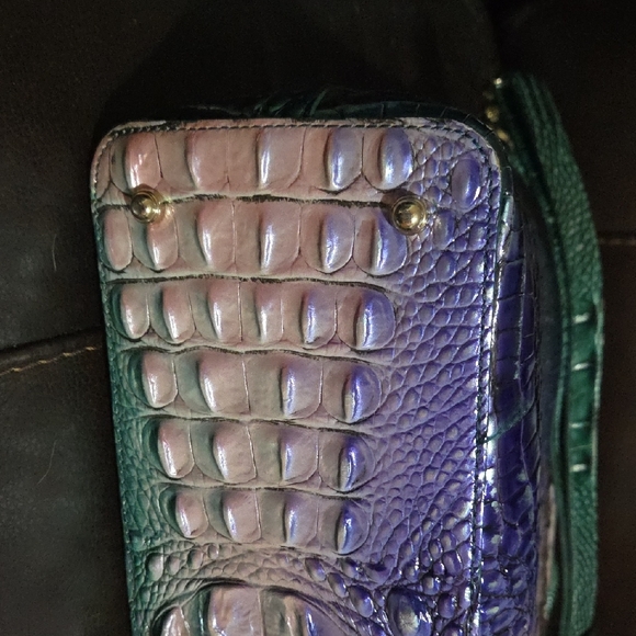 Brahmin Elaine Enchant Ombre - Picture 3 of 8